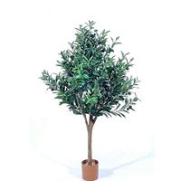 Oliventræ 115cm
